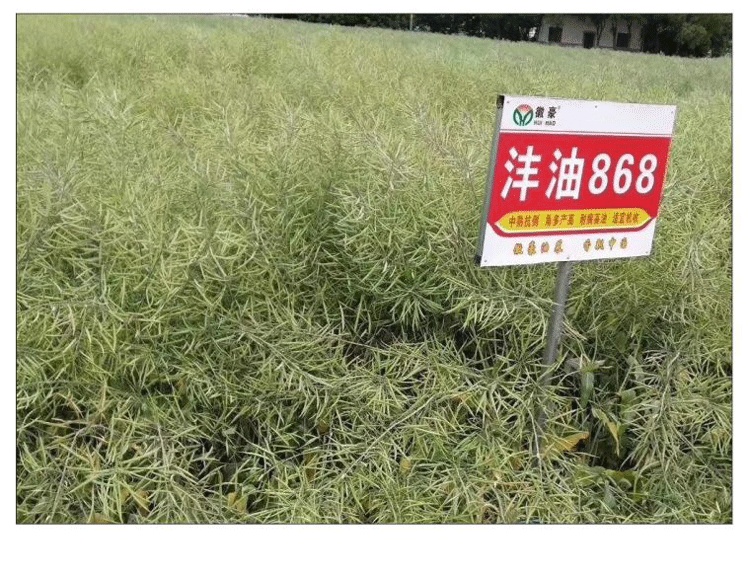 1590636631463782.jpg 微信圖片_20200528112612.jpg