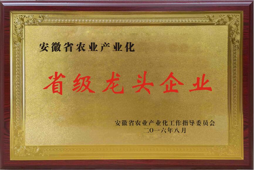 省級(jí)龍頭企業(yè).jpg